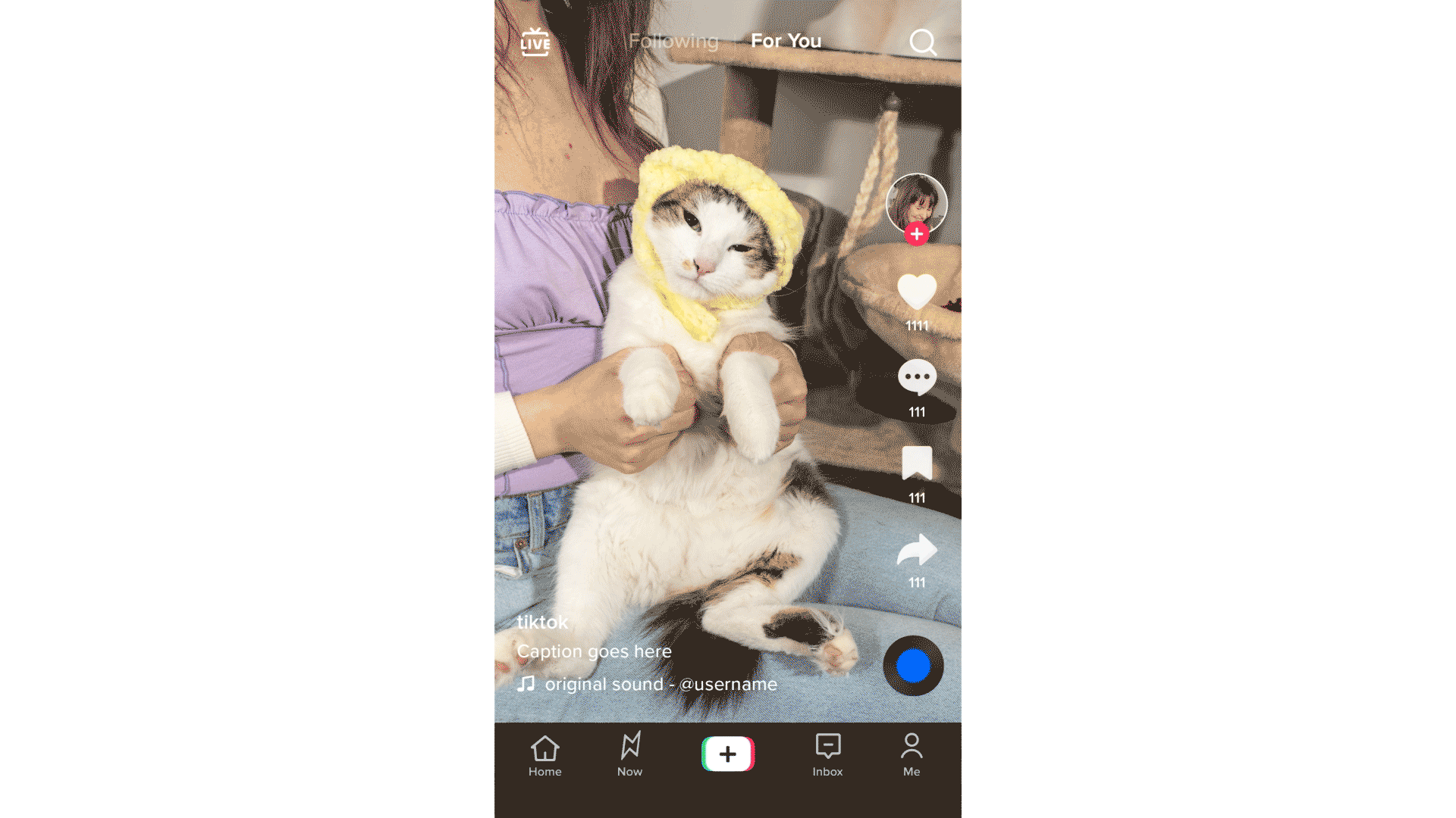 Imagem relacionada a TikTok vai explicar o motivo de recomendar um vídeo