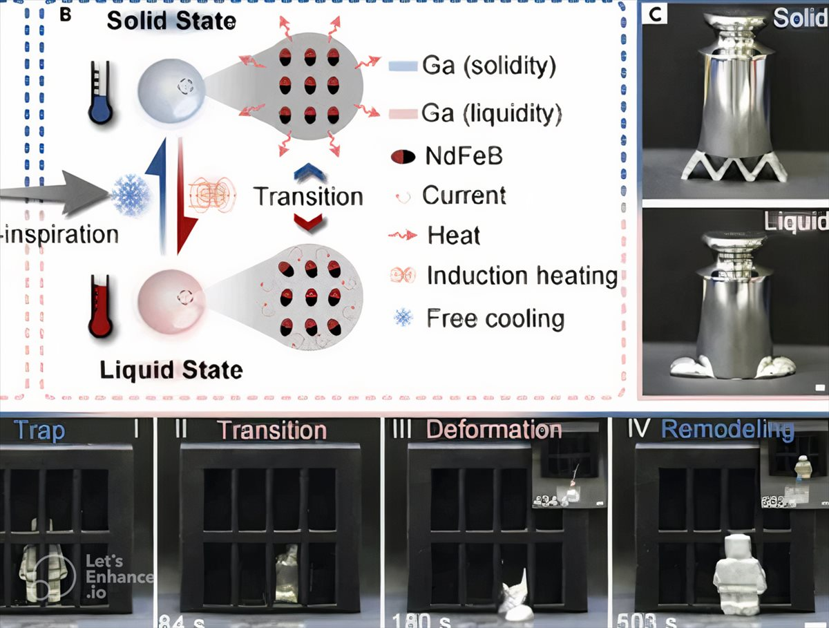 Imagem relacionada a Novo robô amolece para depois ficar duro