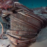 Imagem relacionada a Motores da Apollo 11 foram descobertos no fundo do mar