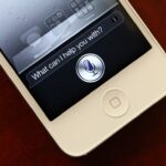 Imagem relacionada a Apple trabalha em própria tecnologia de voz para Siri