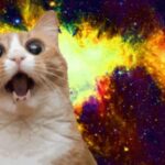 Imagem relacionada a Facebook vai punir páginas que postam memes