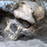 Imagem relacionada a Crânio descoberto lança luz sobre os primeiros humanos