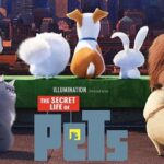Imagem relacionada a "PETS - A VIDA SECRETA DOS BICHOS" (2016) - Bichos fofinhos e uma ótima aventura