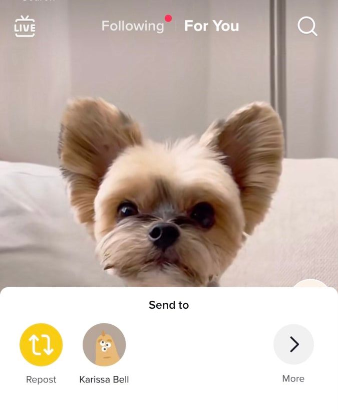 Imagem relacionada a TikTok experimenta botão de 'repostar' para compartilhar vídeos com amigos