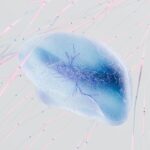 Imagem relacionada a Neuralink busca parceria para testes de chips cerebrais em humanos