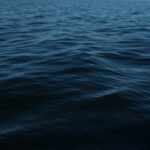 Imagem relacionada a Fifish V-EVO: explorando os fundos marinhos com um drone submarino de alta qualidade