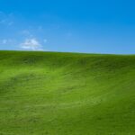 Imagem relacionada a Algoritmo de ativação offline do Windows XP é decifrado