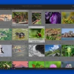 Imagem relacionada a Darktable 4.4 é lançado com novos recursos para fotógrafos