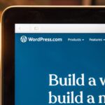 Imagem relacionada a WordPress lança recurso de pagamento para permitir que usuários ganhem dinheiro