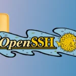 Imagem relacionada a Nova vulnerabilidade no OpenSSH pode permitir acesso remoto a sistemas Linux