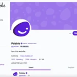 Imagem relacionada a Pebble: A nova rede social que promete mais do que um clone do Twitter