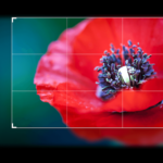 Imagem relacionada a Ghost apresenta novo editor de imagens nativo, proporcionando ainda mais praticidade